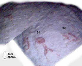 pyramid markings